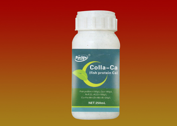 Colla-Ca(Fish protein Ca)